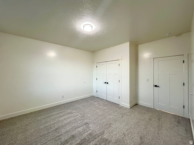 6 South 450th West Gunnison, UT 84634 - Photo 16 of 45 Room featuring plush carpet flooring, bright white walls, a flush-mount ceiling light, and two white paneled doors with black hardware