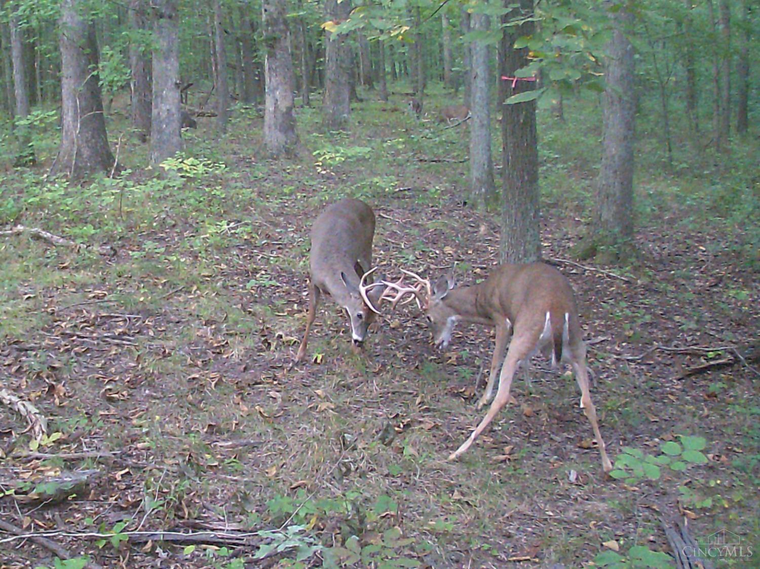 3526 Starling Road Bethel, OH 45106 - Photo 15 of 21