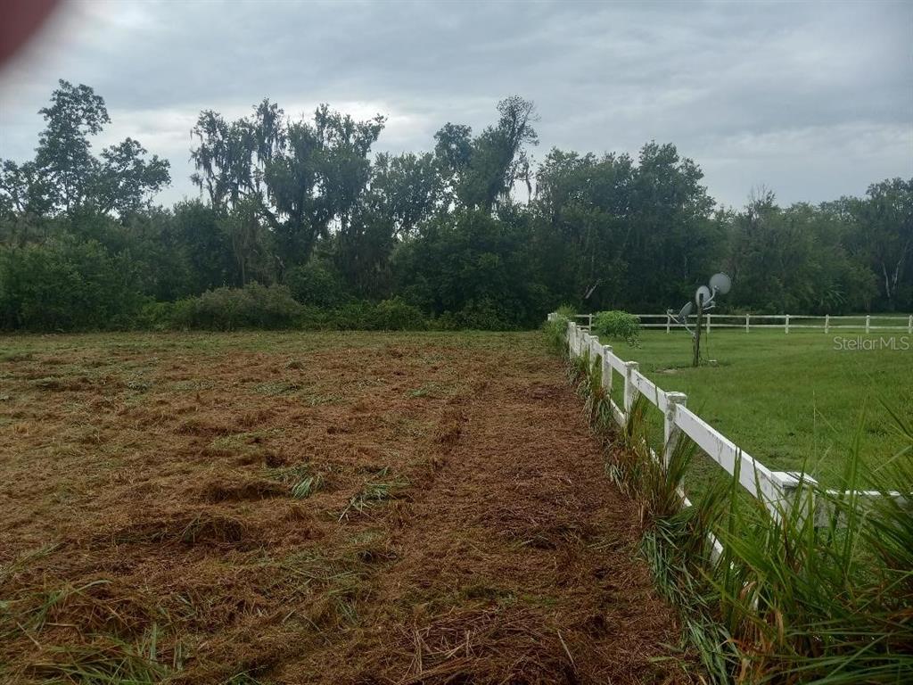 3408 North Forbes Road Plant City, FL 33565 - Photo 3 of 5 a view of a field with trees