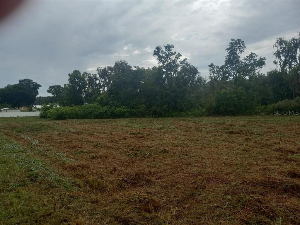 3408 North Forbes Road Plant City, FL 33565 - Photo 4 of 5 a view of a lake view