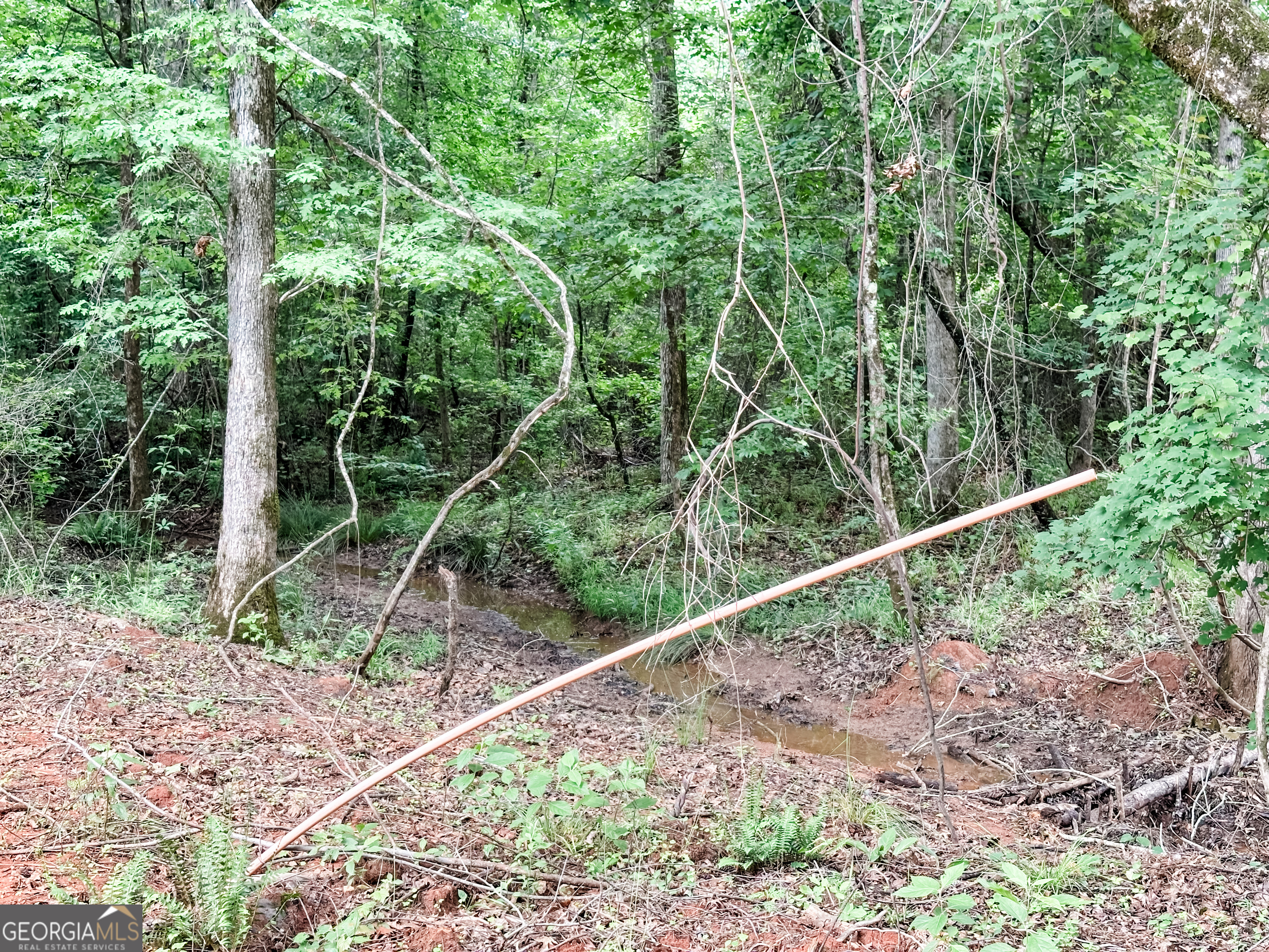 52.4-acres Goolsby Road, Unit 52 4 ACRES Monticello, GA 31064 - Photo 14 of 25
