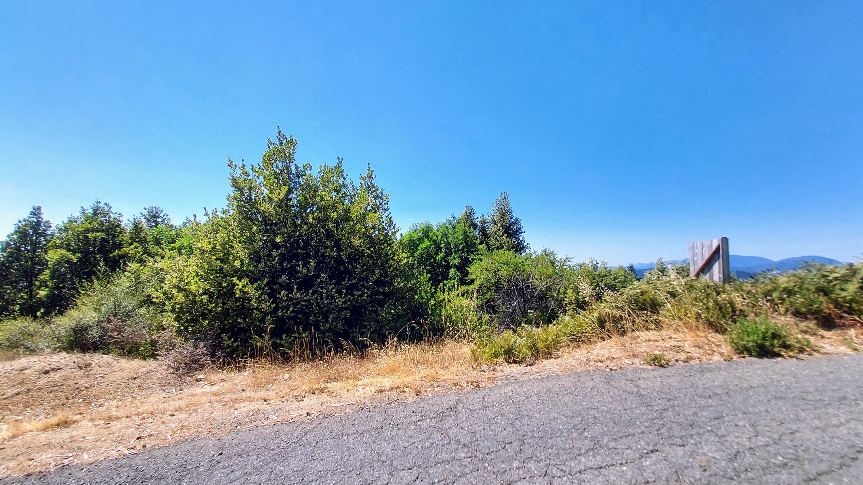 27 Cook Road Shelter Cove, CA 95589 - Photo 14 of 22