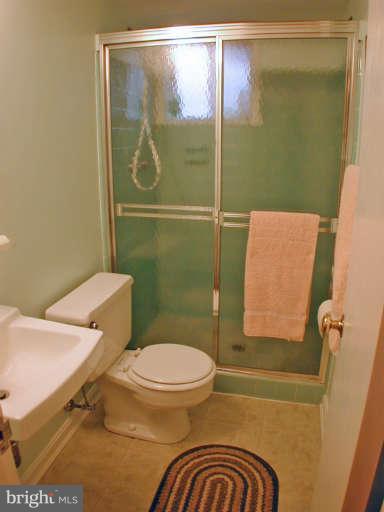 13105 Clifton Road Silver Spring, MD 20904 - Photo 21 of 30 Full bath lower level
