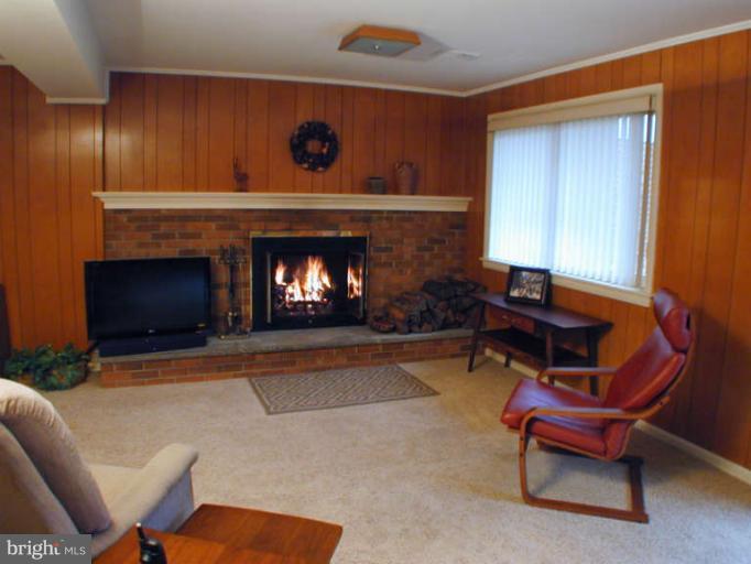 13105 Clifton Road Silver Spring, MD 20904 - Photo 22 of 30 Cozy wood-burning fireplace