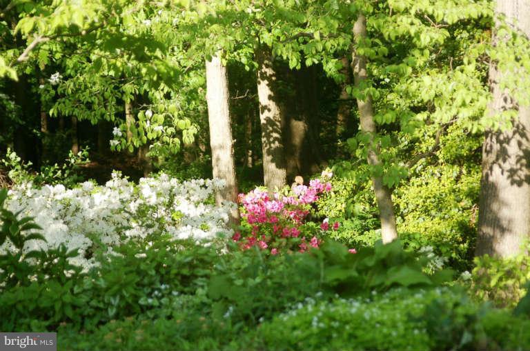 13105 Clifton Road Silver Spring, MD 20904 - Photo 28 of 30 Lovely flowering gardens