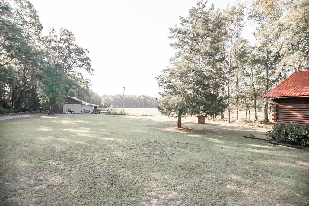 215 Player Lane Ruffin, SC 29475 - Photo 19 of 34 SHED