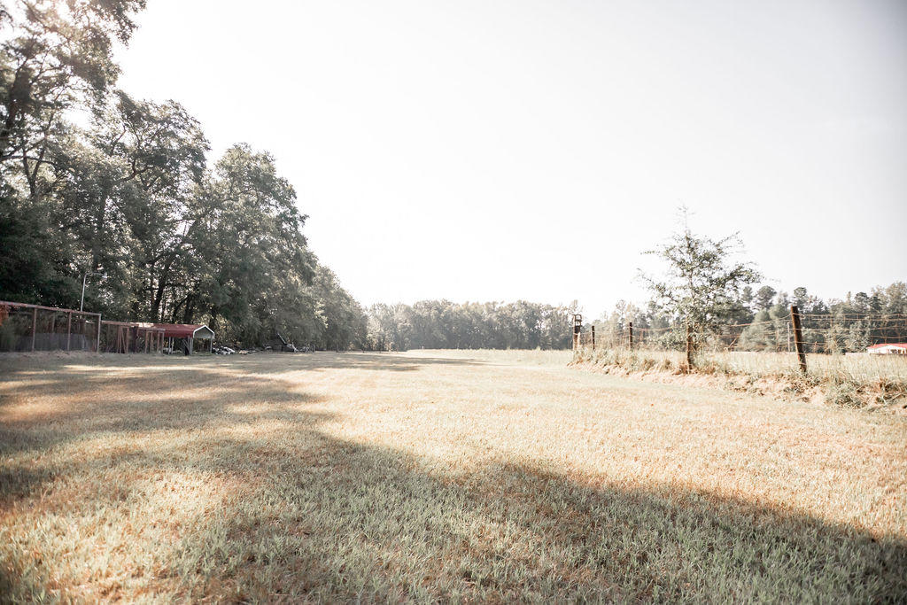 215 Player Lane Ruffin, SC 29475 - Photo 23 of 34 OPEN FIELD