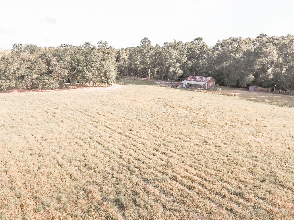 215 Player Lane Ruffin, SC 29475 - Photo 25 of 34 PORTION OF PROPERTY
