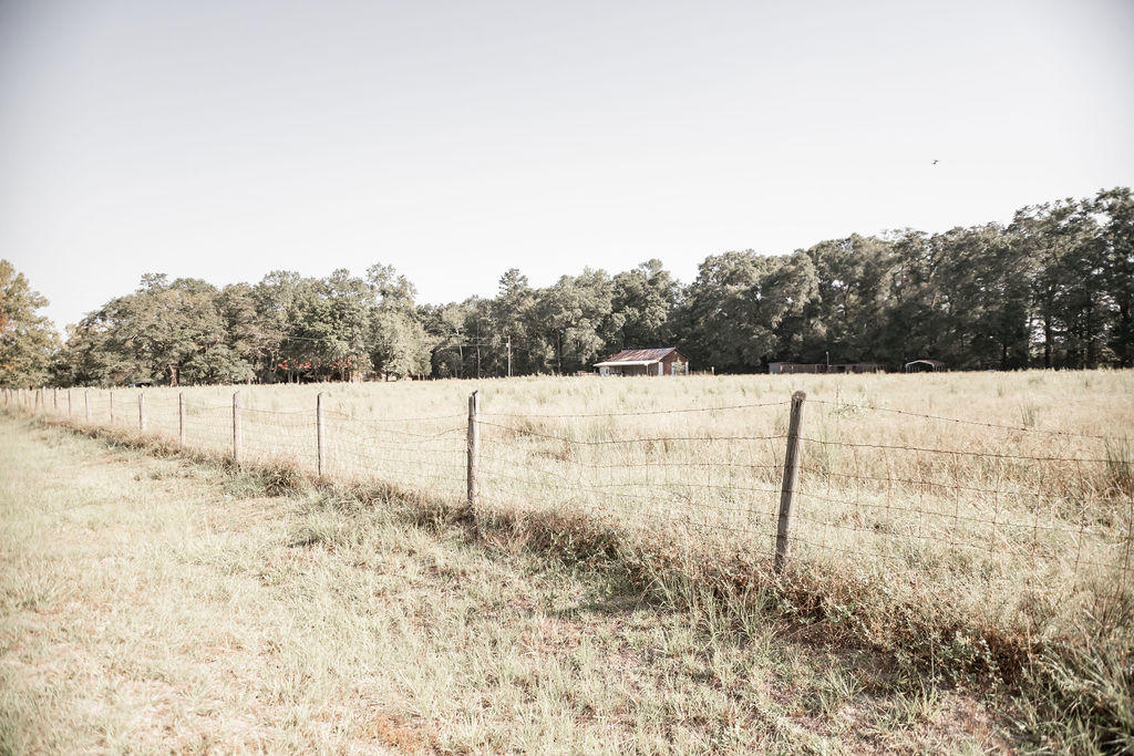 215 Player Lane Ruffin, SC 29475 - Photo 27 of 34 SIDEROAD