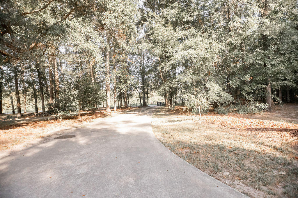 215 Player Lane Ruffin, SC 29475 - Photo 30 of 34 DRIVEWAY