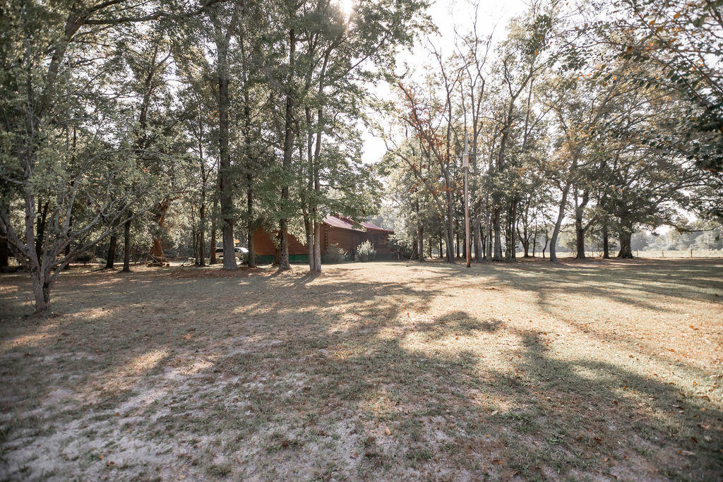 215 Player Lane Ruffin, SC 29475 - Photo 32 of 34 SIDEROAD VIEW