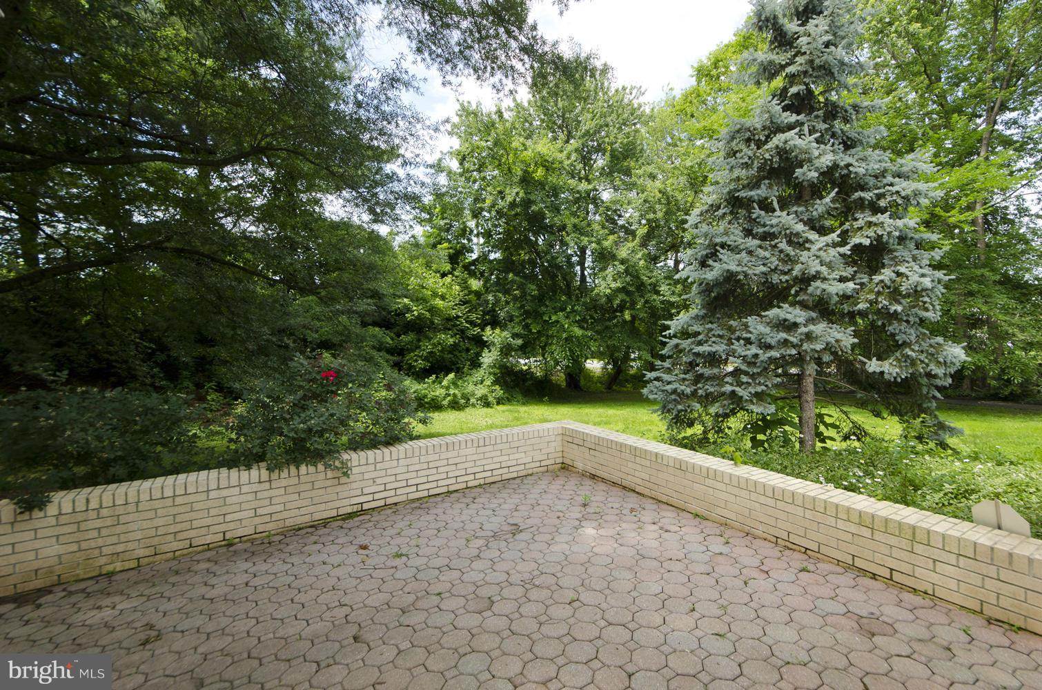 7120 Georgetown Pike McLean, VA 22101 - Photo 27 of 30 a view of a yard with plants