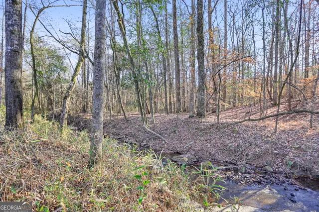 $612,000 | 48.22 Franklin Parkway, Franklin, GA 30217