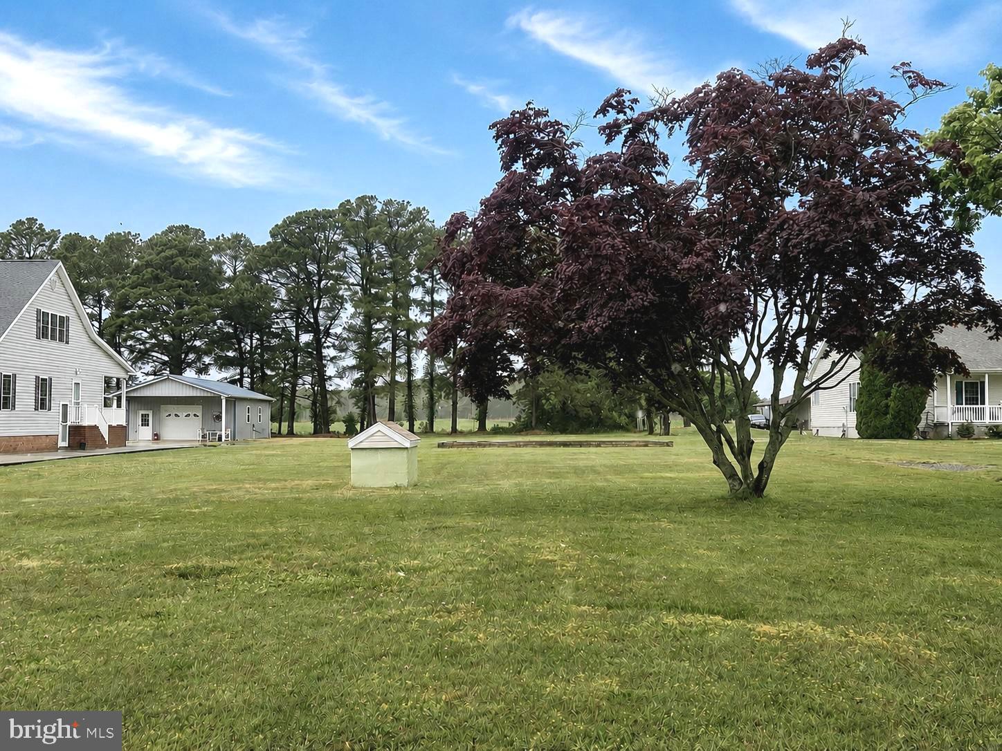 2820 Hoopers Island Road Church Creek, MD 21622 - Photo 6 of 9 a view of a big yard with large trees
