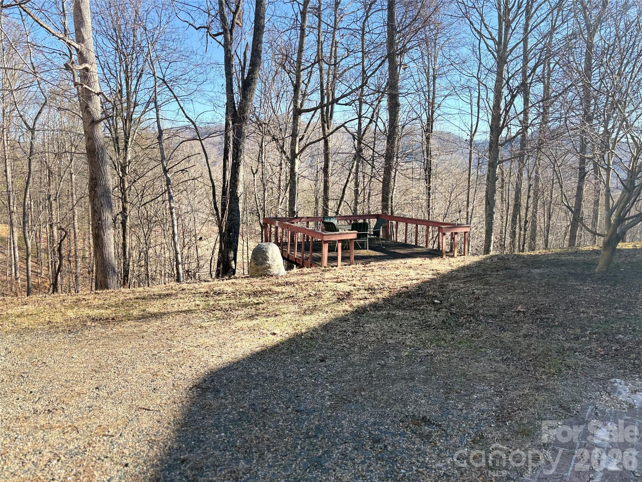 219 Rockinghorse Trail Burnsville, NC 28714 - Photo 28 of 31 a view of a park with trees