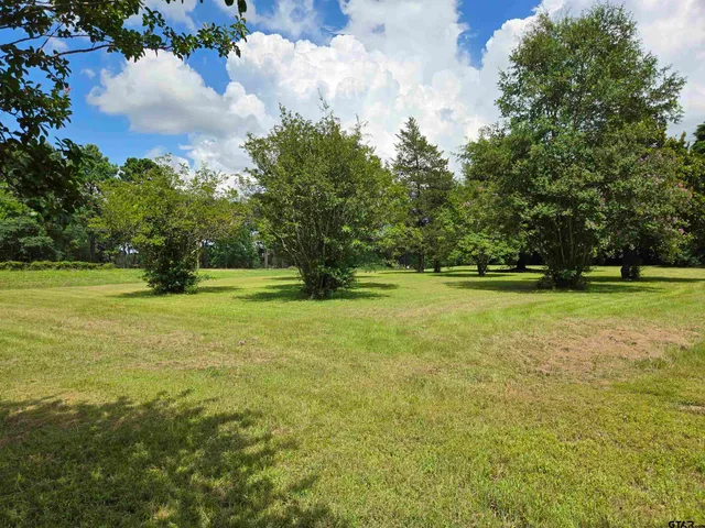 a view of outdoor space with garden and trees