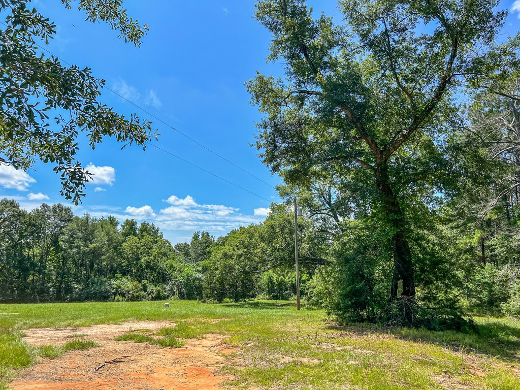 1120 Gilbert Road McComb, MS 39648 - Photo 13 of 27 Photo 13
