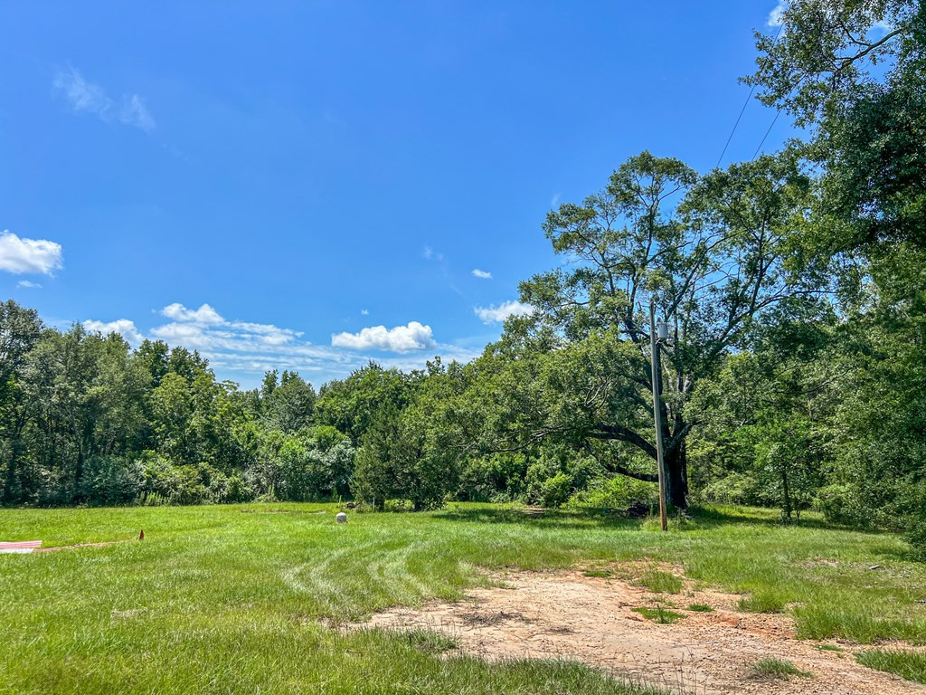 1120 Gilbert Road McComb, MS 39648 - Photo 14 of 27 Photo 14