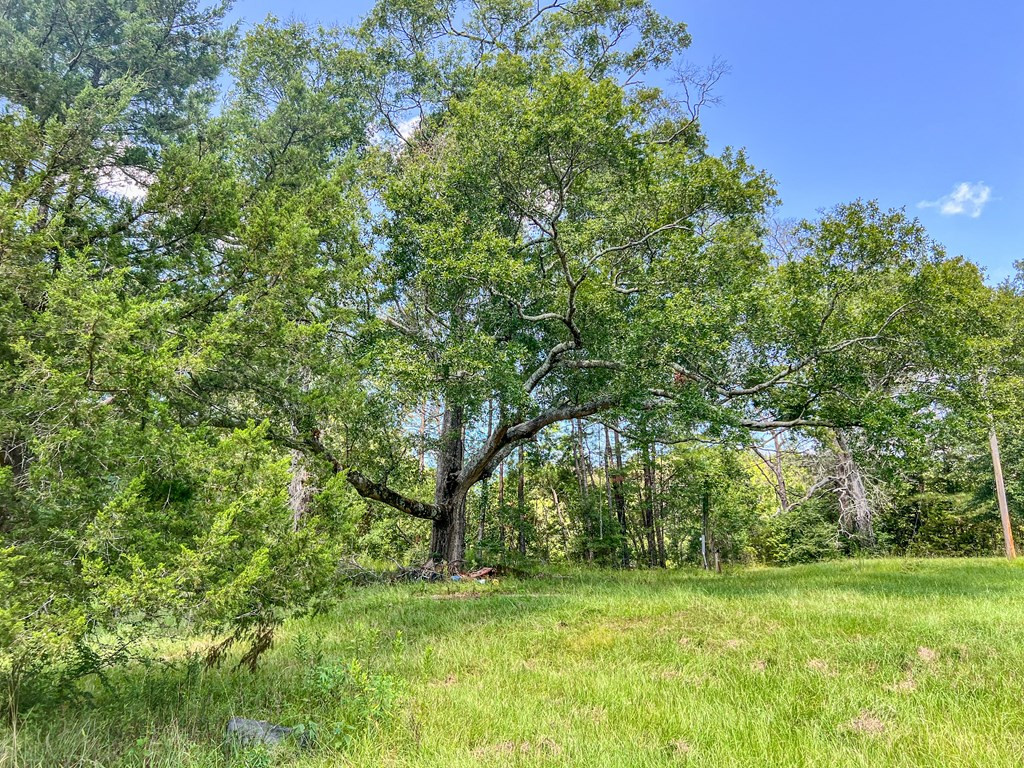 1120 Gilbert Road McComb, MS 39648 - Photo 16 of 27 Photo 16