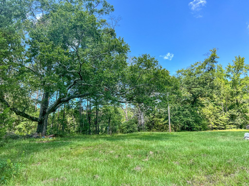 1120 Gilbert Road McComb, MS 39648 - Photo 17 of 27 Photo 17