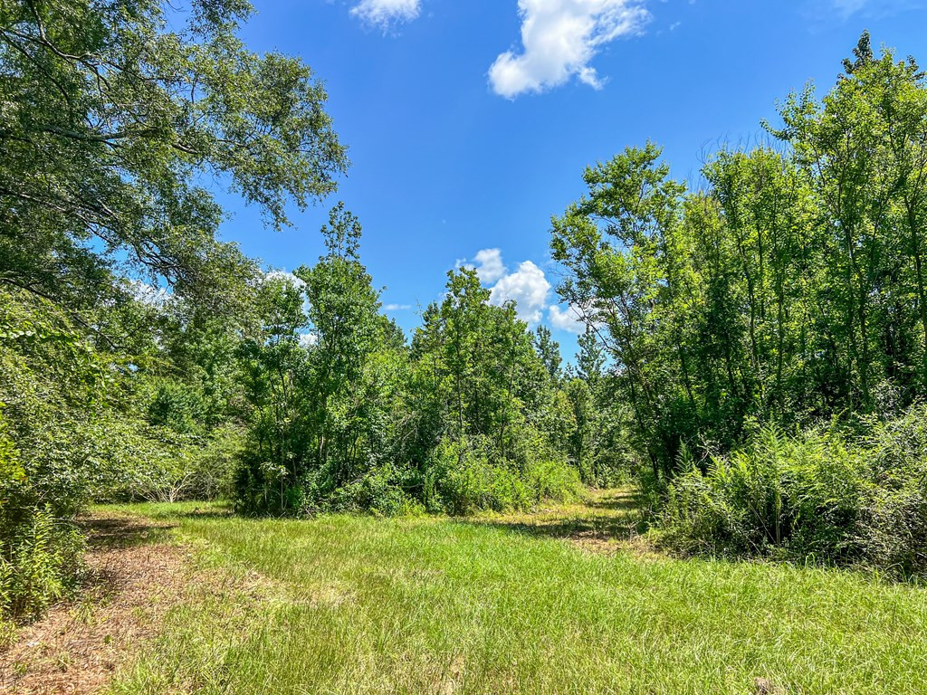 1120 Gilbert Road McComb, MS 39648 - Photo 20 of 27 Photo 20