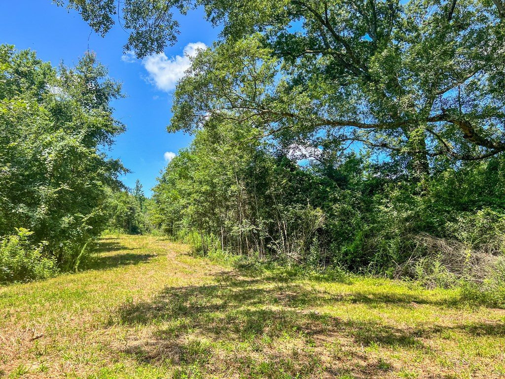 1120 Gilbert Road McComb, MS 39648 - Photo 22 of 27 Photo 22
