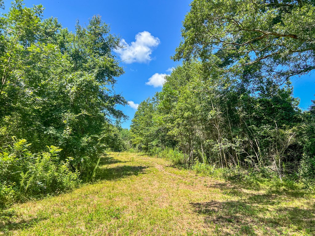 1120 Gilbert Road McComb, MS 39648 - Photo 24 of 27 Photo 24
