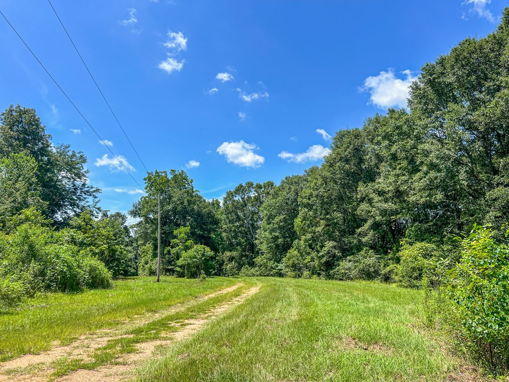 1120 Gilbert Road McComb, MS 39648 - Photo 27 of 27 Photo 27