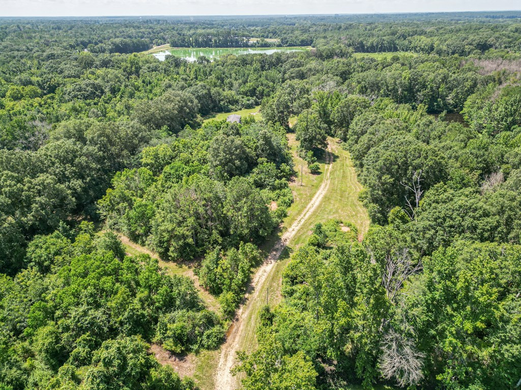 1120 Gilbert Road McComb, MS 39648 - Photo 8 of 27 Photo 8