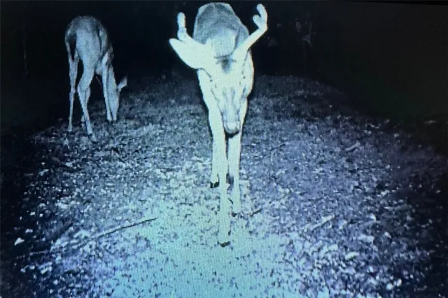 $379,900 | 148 Brook Meadow Lane, Liberty, SC 29657