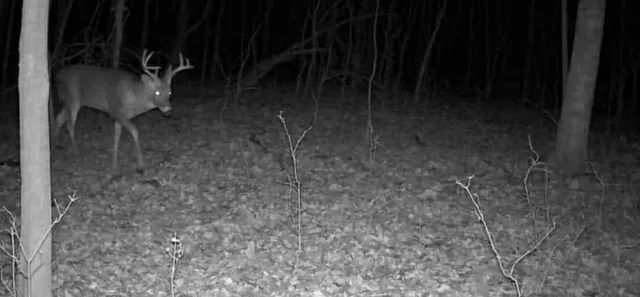 $379,900 | 148 Brook Meadow Lane, Liberty, SC 29657