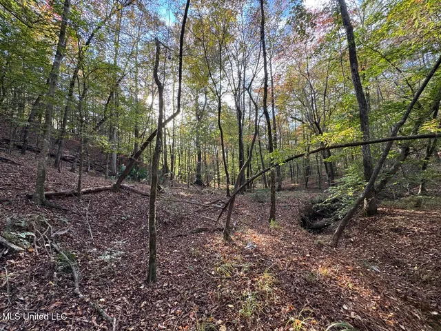 $329,000 | 1 North Will Floyd Road, Gloster, MS 39638