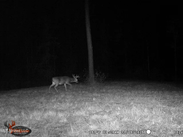 $329,000 | 1 North Will Floyd Road, Gloster, MS 39638