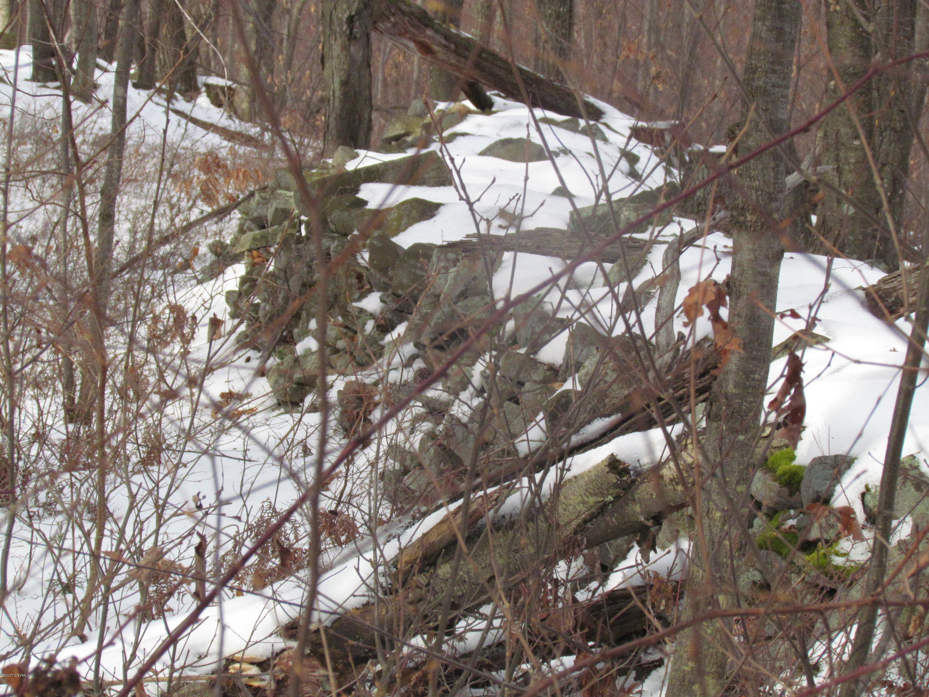 South Main Road Mountain Top, PA 18707 - Photo 12 of 14 Gallery Image 12