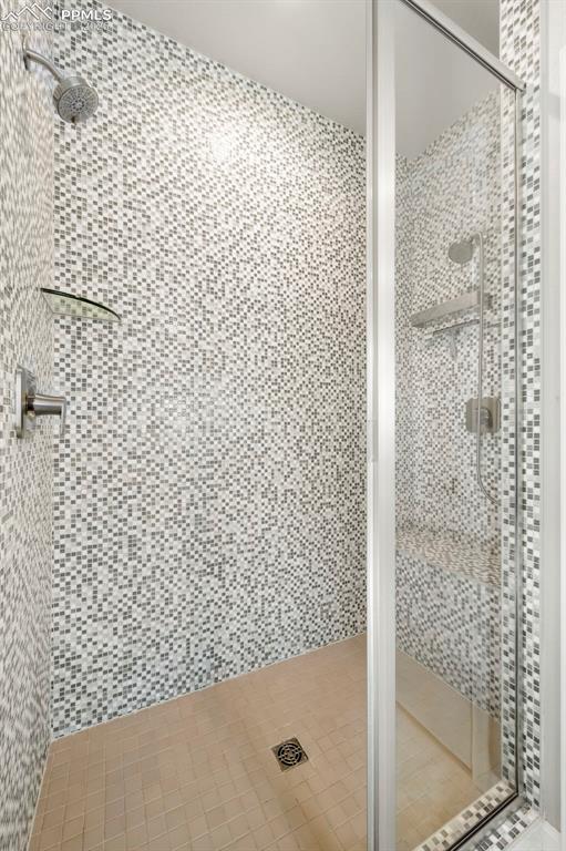 1073 Native Dancer Terrace Colorado Springs, CO 80921 - Photo 27 of 48 Full bath featuring a stall shower