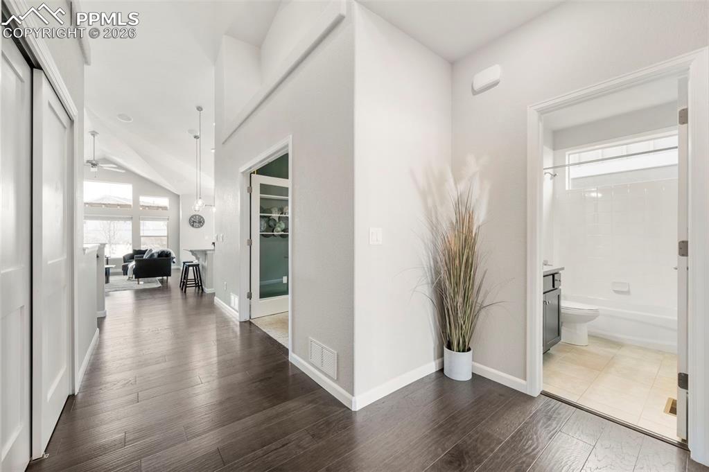 1073 Native Dancer Terrace Colorado Springs, CO 80921 - Photo 10 of 48 Hallway with dark wood-style floors and healthy amount of natural light
