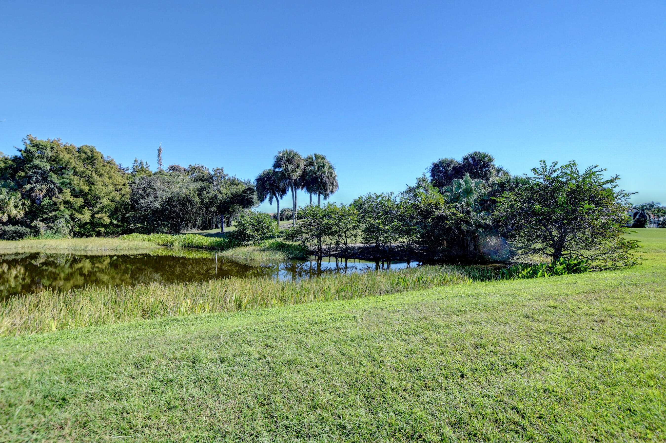 7097 Haviland Circle Boynton Beach, FL 33437 - Photo 4 of 72 a view of a lake with a yard and large trees