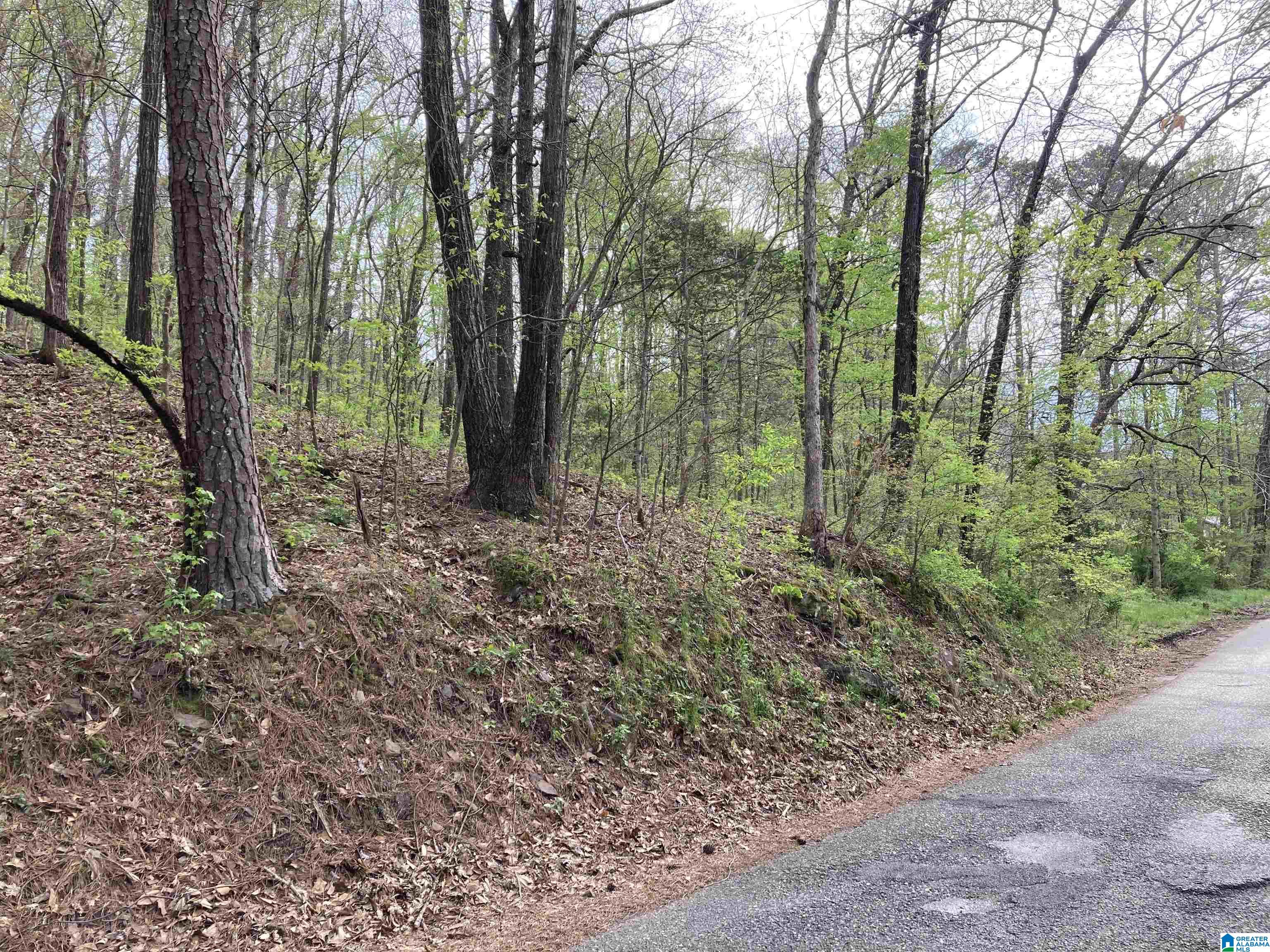 0 Aderholdt Mill Road Jacksonville, AL 36265 - Photo 2 of 6