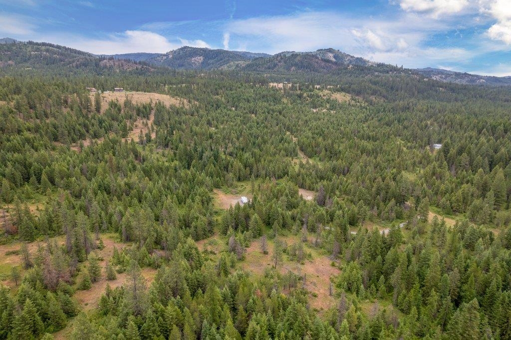 1456-1460 Misty Ridge Lane Newport, WA 99156 - Photo 38 of 48