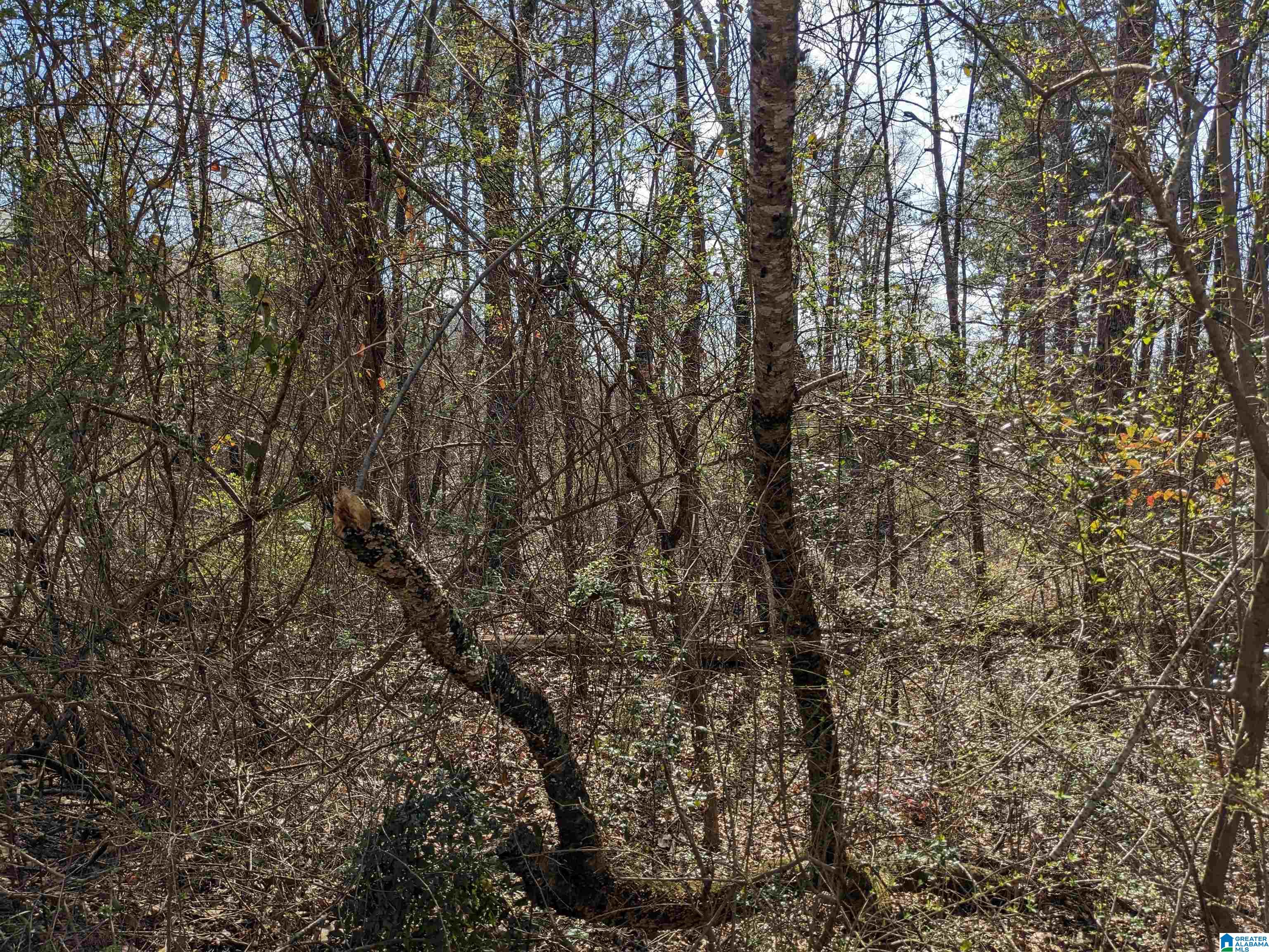 0 Hathaway Heights Road, Unit 2 & 3 Anniston, AL 36207 - Photo 14 of 30