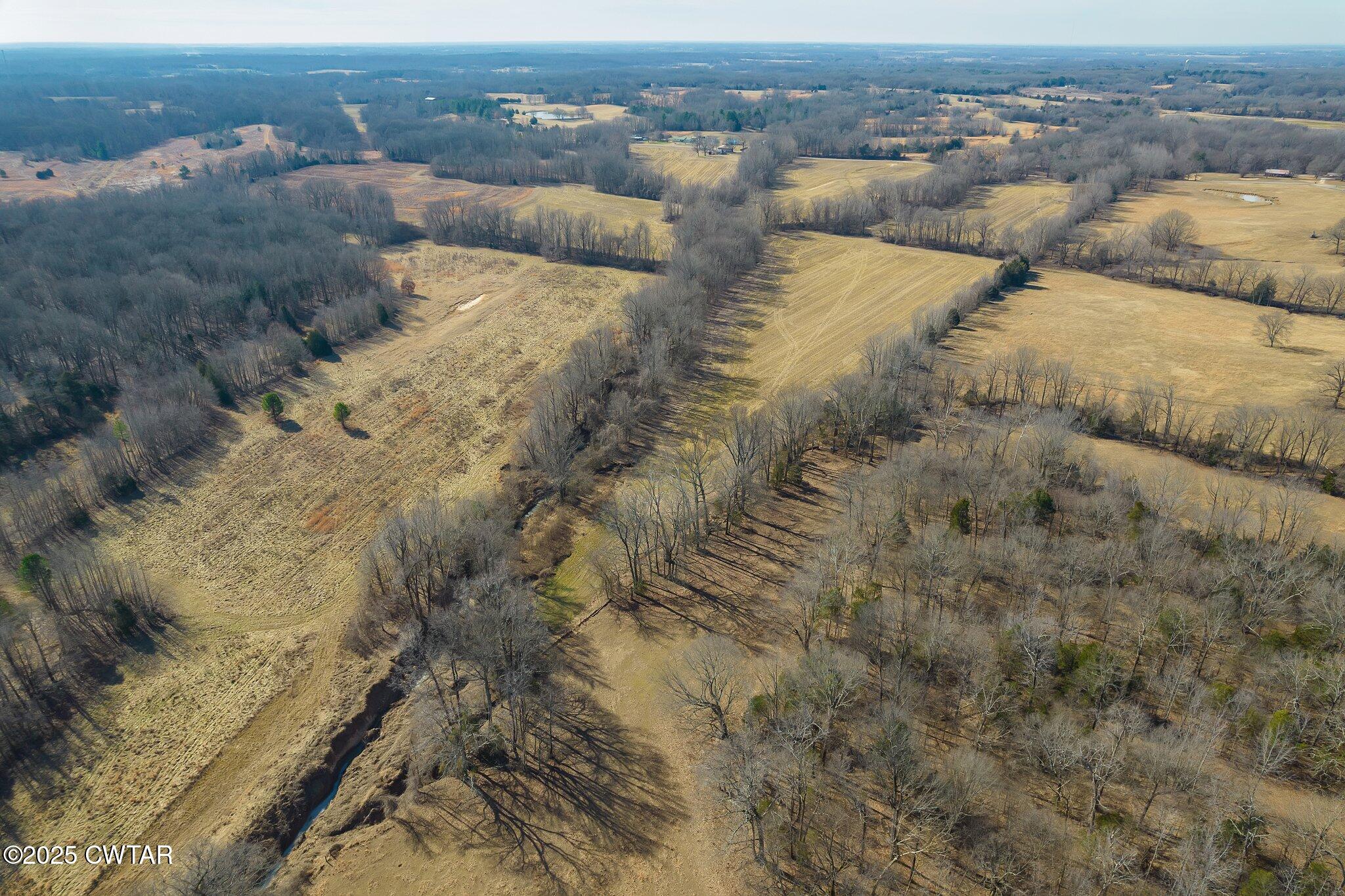Lot#4 Humboldt Lake Road Gadsden, TN 38337 - Photo 12 of 21