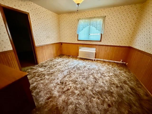 409 North Maple Street Mabel, MN 55954 - Photo 11 of 14