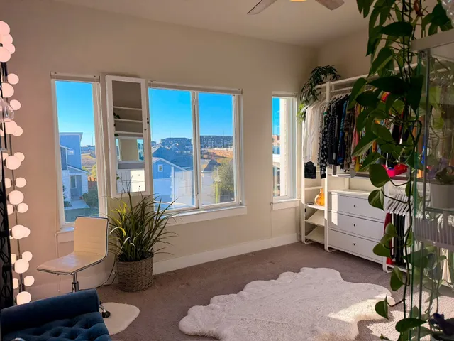 a living room with furniture and a potted plant