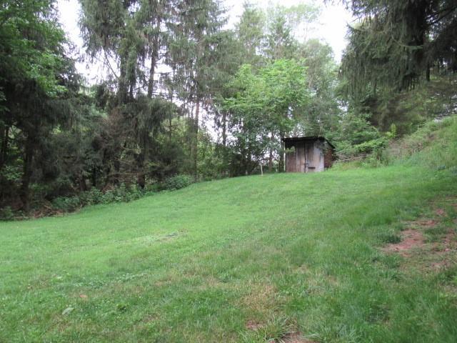 933 Fayette City Road Fayette City, PA 15438 - Photo 5 of 18