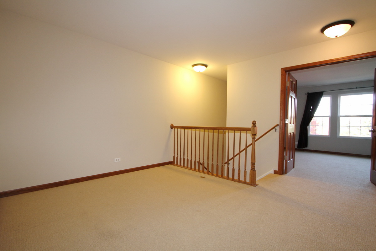 228 Springbrook Trail South Oswego, IL 60543 - Photo 6 of 14