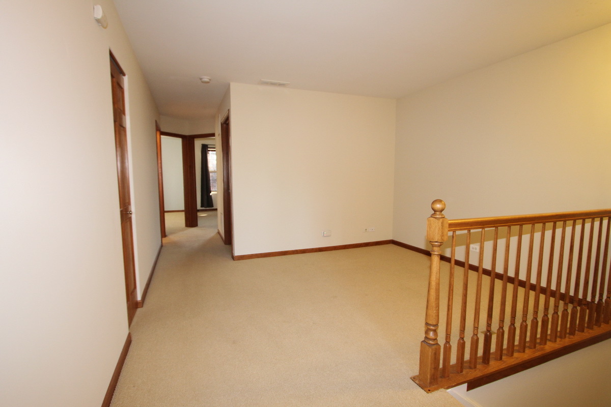 228 Springbrook Trail South Oswego, IL 60543 - Photo 7 of 14