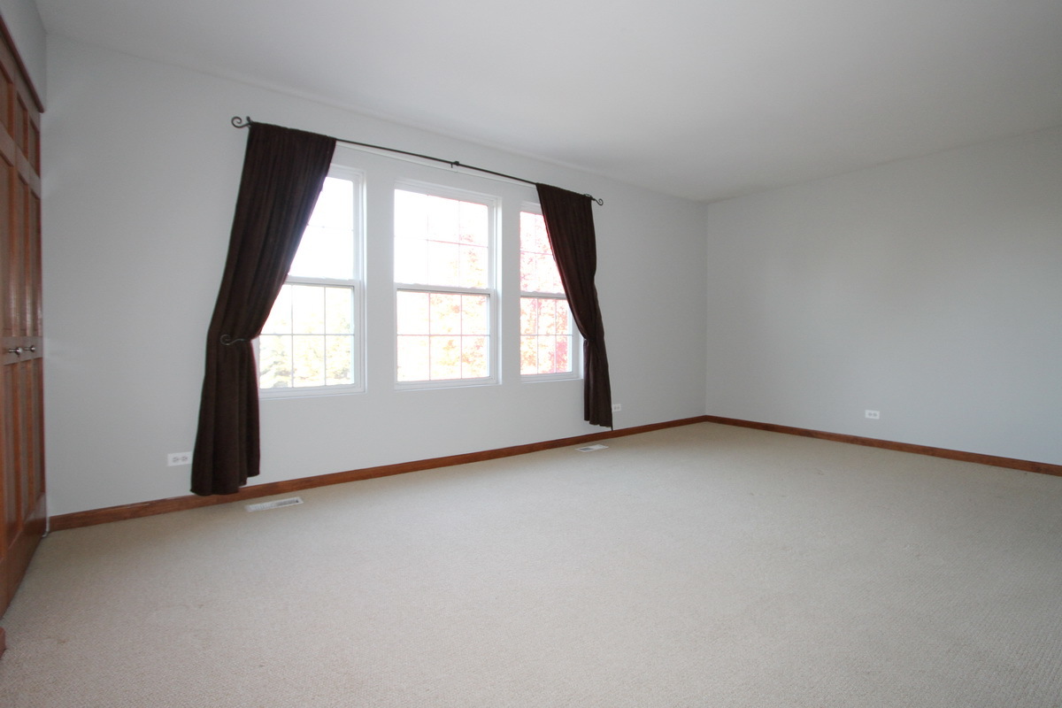 228 Springbrook Trail South Oswego, IL 60543 - Photo 8 of 14