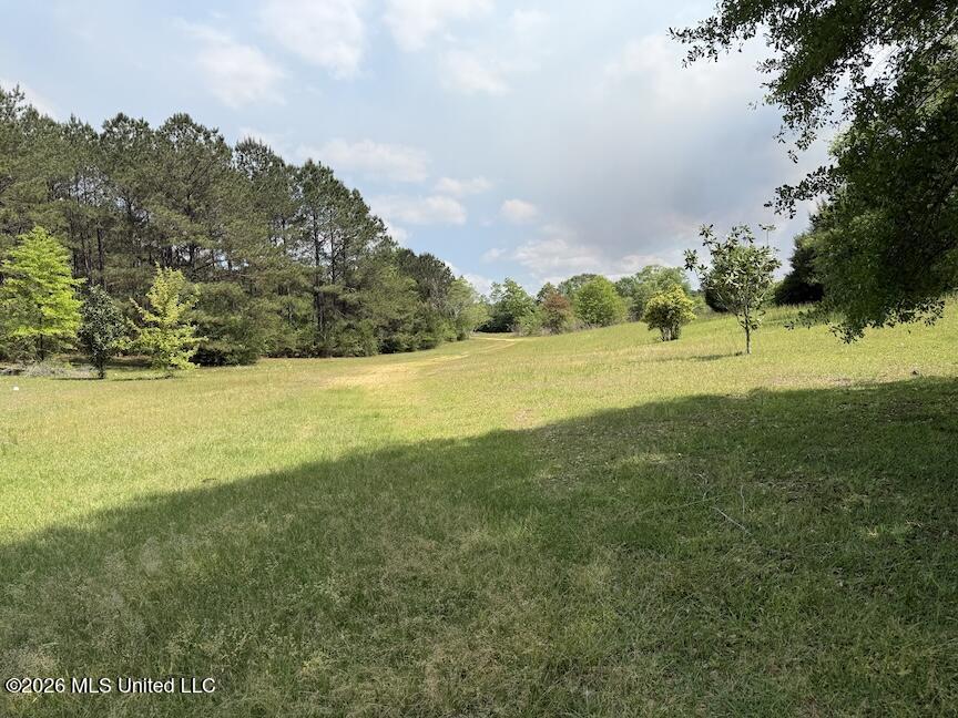 257 Magnolia Road Perkinston, MS 39573 - Photo 35 of 39 IMG_4604