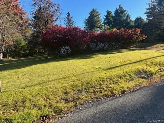 $249,900 | 25 Miles And Marguerite Lane, Mountain Dale, NY 12763