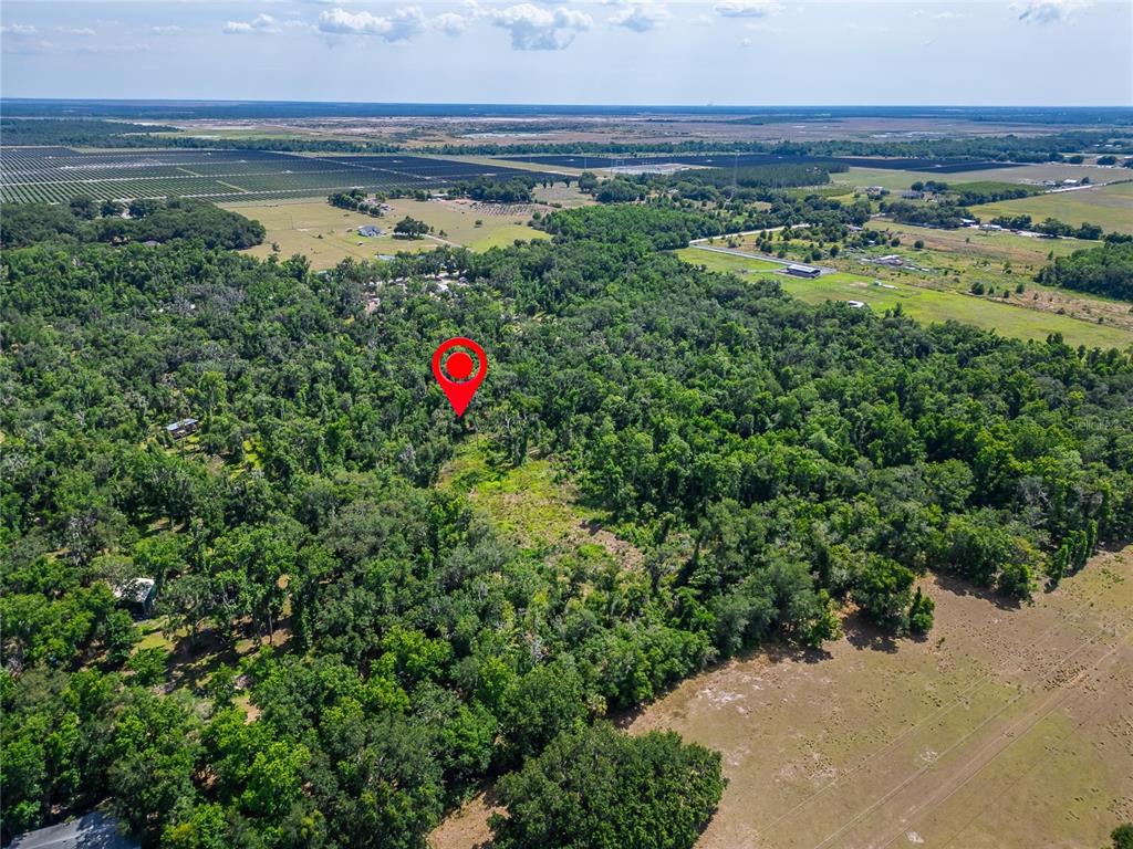 672 Highway Lithia Lithia, FL 33547 - Photo 13 of 24